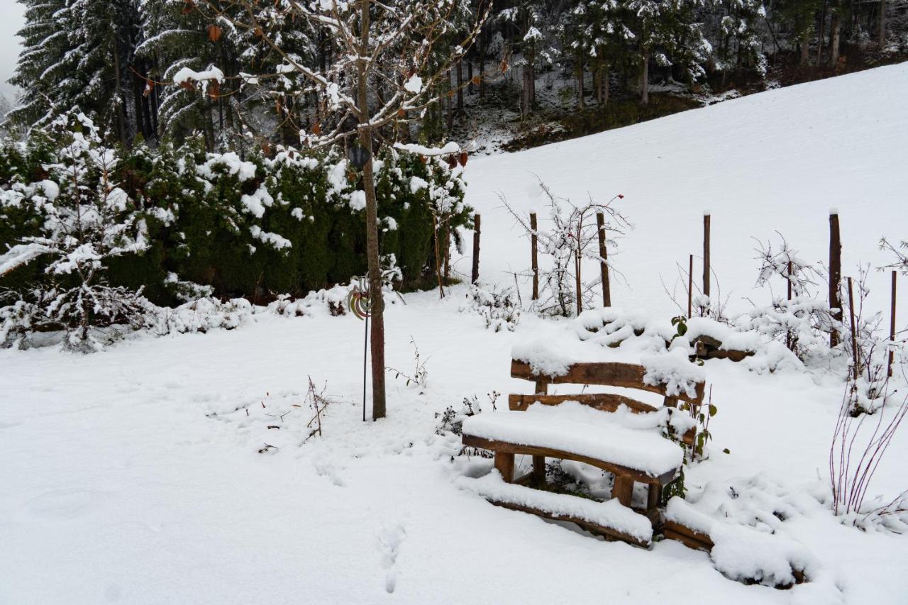 Naturoase Mirnock Apartment